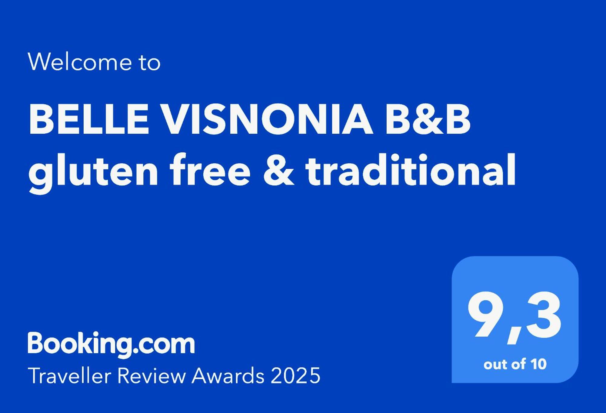 Belle Visnonia B&B Gluten Free & Traditional Béganne Buitenkant foto